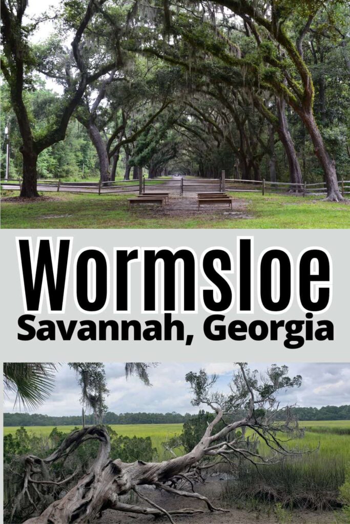 Wormsloe Historic Site in Savannah, Georgia