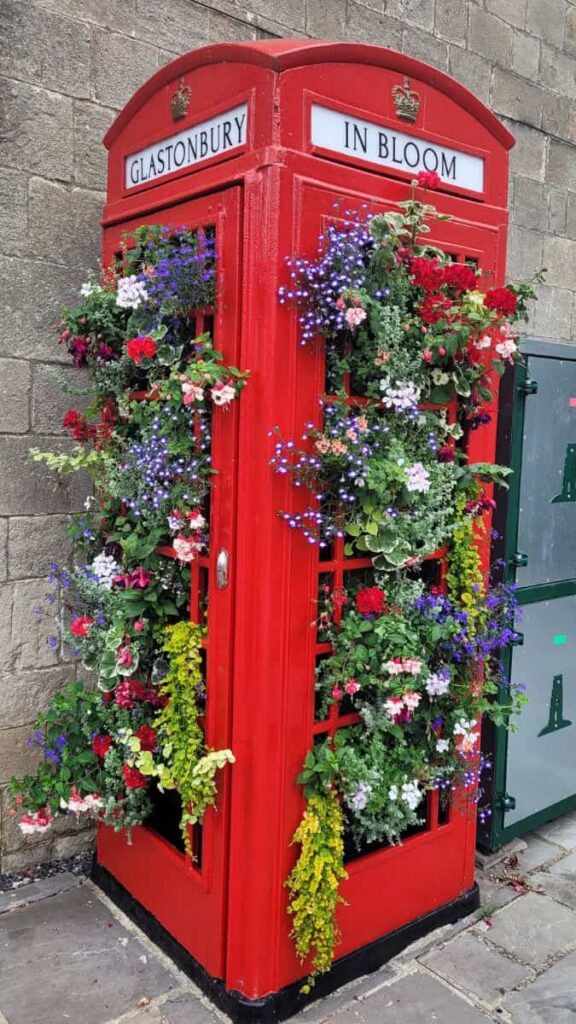 Glastonbury Bloom